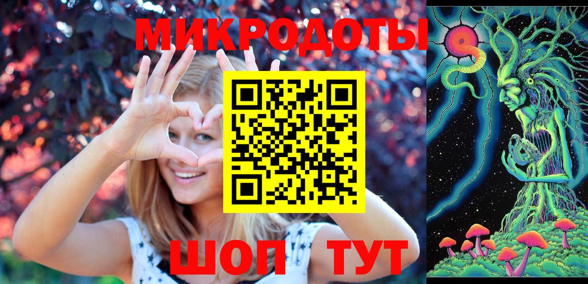 Псилоцибиновые грибы Psilocybe  Вход с VPN  Вязьма 