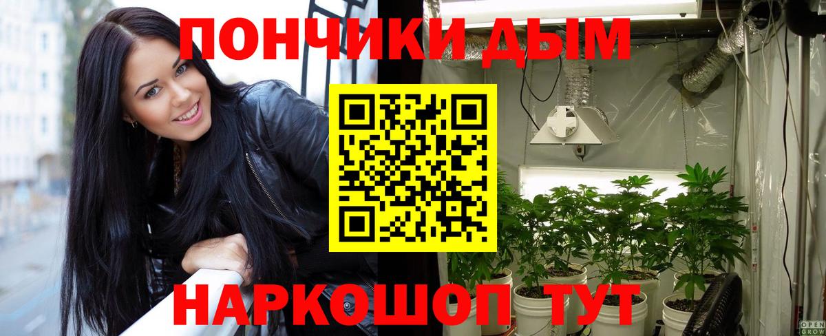 Бошки марихуана MAZAR  Вход с VPN  Канабис конопля  Вязьма  Шишки марихуана THC 21% 